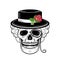 Vector hand drawn sketch skull in hat rose monocle