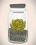 Vector hand drawn succulent plant in glass terrarium. Hipster st