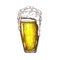 Vector hand drawn tall beer glass full of wheat beer with foam. Beautiful vintage beer mug or pilsner with dropping