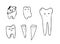 Vector hand drawn tooth collection. Cute design for medicine decorations. Vector illustration.
