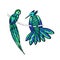 Vector hand drawn tropical birds. Vector illustration. Blue, green, turquoise, mint, neon.