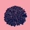 Vector handdrawn dark blue chrysanthemum.