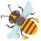 Vector happy cartoon bee flying delicious honey insect isolated animal