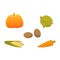 Vector harvest vegetables set isolated