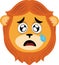 vector head lion cartoon watery eyes tear