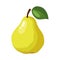 Vector healthy yellow pear with leaf. Isolated fruit in flat style. Summer clipart for design