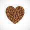 Vector Heart with leopard skin print  on white background.