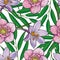 Vector hellebores crocus flower seamless pattern