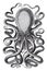 Vector High Detail Octopus Engraving