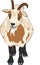 Vector hilarious funny cartoon spotted goat