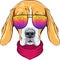 Vector hipster serious dog Beagle in glasses