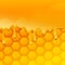 Vector honey background. Liquid honey drops and honeycombs.