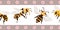 Vector honey bee and manuka flower seamless border . Banner of flying insects with striped floral edging. Horizontal