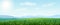 Vector horizontal green Summer landscape. bright idyllic Spring background with green meadows, rural fields and meadows