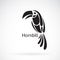 Vector of hornbill design on white background. , Wild Animals.