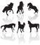 Vector horse silhouettes