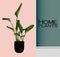 Vector Houseplants in a container for indoor use as a house plant in pots. Home gardening concept. Modern flat vector illustration