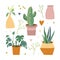 Vector houseplants. decorations for the room and interior. cactus, monstera, sansevieria. Cartoon style, vase with