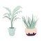 Vector houseplants illustration. Set of two vector flowers. Potted flowers in pastel colors. Vector palm, aloe.
