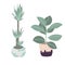 Vector houseplants illustration. Set of two vector flowers. Potted flowers in pastel colors. Vector yucca, rubber plant.