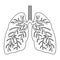 Vector human lungs flat icon