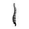 Vector human spine illustration