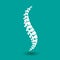 Vector human spine isolated silhouette illustration. Spine pain