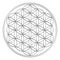 Vector icon with ancient symbol flower of life