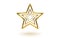 Vector icon of golden star on white background. Achievements for games or customer rating feedback of website