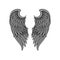 Vector icon of gorgeous bird or angel wings with gray feathers and black contour. Tattoo artwork. Design for print