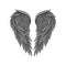 Vector icon of gorgeous heraldic angel wings with gray feathers and black contour. Element for tattoo, t-shirt print or