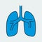 Vector icon of a healthy human lungs, virus free. It represents a concept of medical protection, coronavirus danger