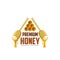 Vector icon of honey dippers and honecomb