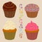 Vector icon illustration logo for whole berry cupcake, sweet homemade bakery