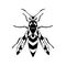 Vector icon insect-Wasp .Black vector icon .