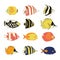 Vector icon set tropical reef fishes. Vector isolated exotic fish characters. Colorful Butterflyfish, Clown Triggerfish, Damsel,
