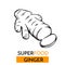 Vector icon superfood ginger