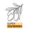 Vector icon superfood goji berry