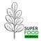 Vector icon superfood moringa