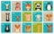 Vector icons of animals and pets in flat style