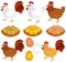 Vector Icons : Chicken, Hen, Rooster