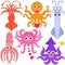 Vector Icons : Squid, Cuttlefish, Jellyfish