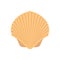 Vector illstration of sea shell. Flat design. EPS10.