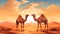 vector illsutration of Two camels sitting