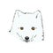 Vector Illustrated Portrait of Arctic fox. Cute white fluffy face of Polar Fox on blue background. Arctic Fox, wild white Fox,