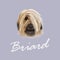 Vector Illustrated Portrait of Briard dog.