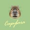 Vector Illustrated Portrait of Capybara.