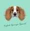 Vector illustrated Portrait of English Springer Spaniel dog