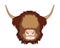 Vector Illustrated portrait of Highland cattle.