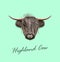 Vector Illustrated portrait of Highland cattle.